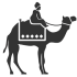 Camel_Ride_Icon-removebg-preview.png